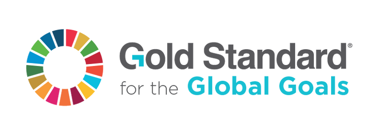 Gold Standard for the Global Goals